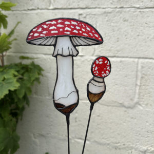 Amanita Mushroom Pair